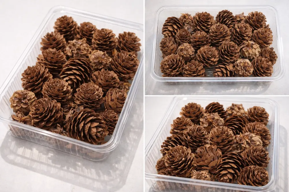 PINE CONE BROWN