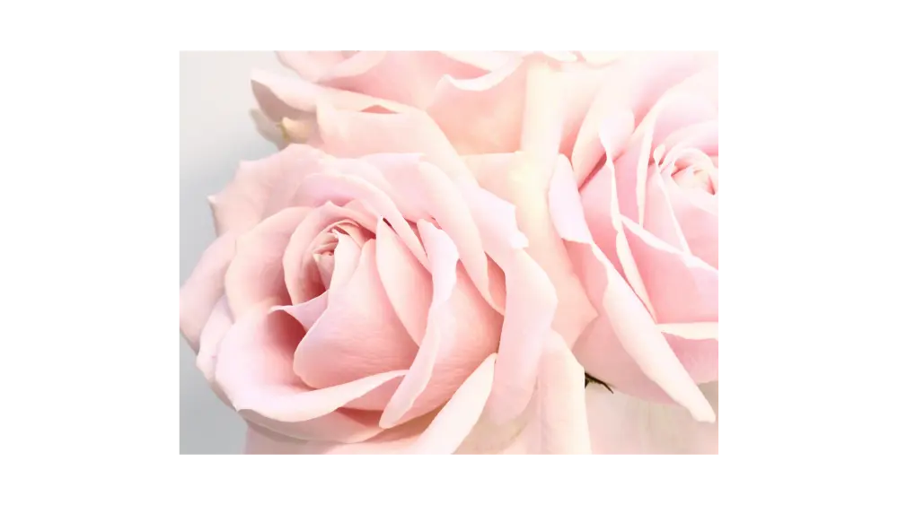 ARTIFICIAL  FLOWERS 100 PCS.