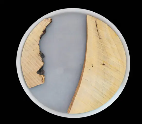 12 INCH ROUND SILICON MOULDS + WOODEN LOGS (COMBO PACKS)